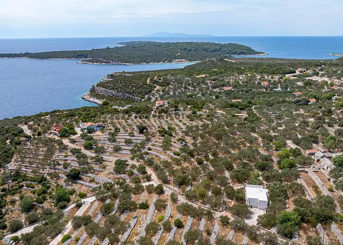 B&B Vela Luka
